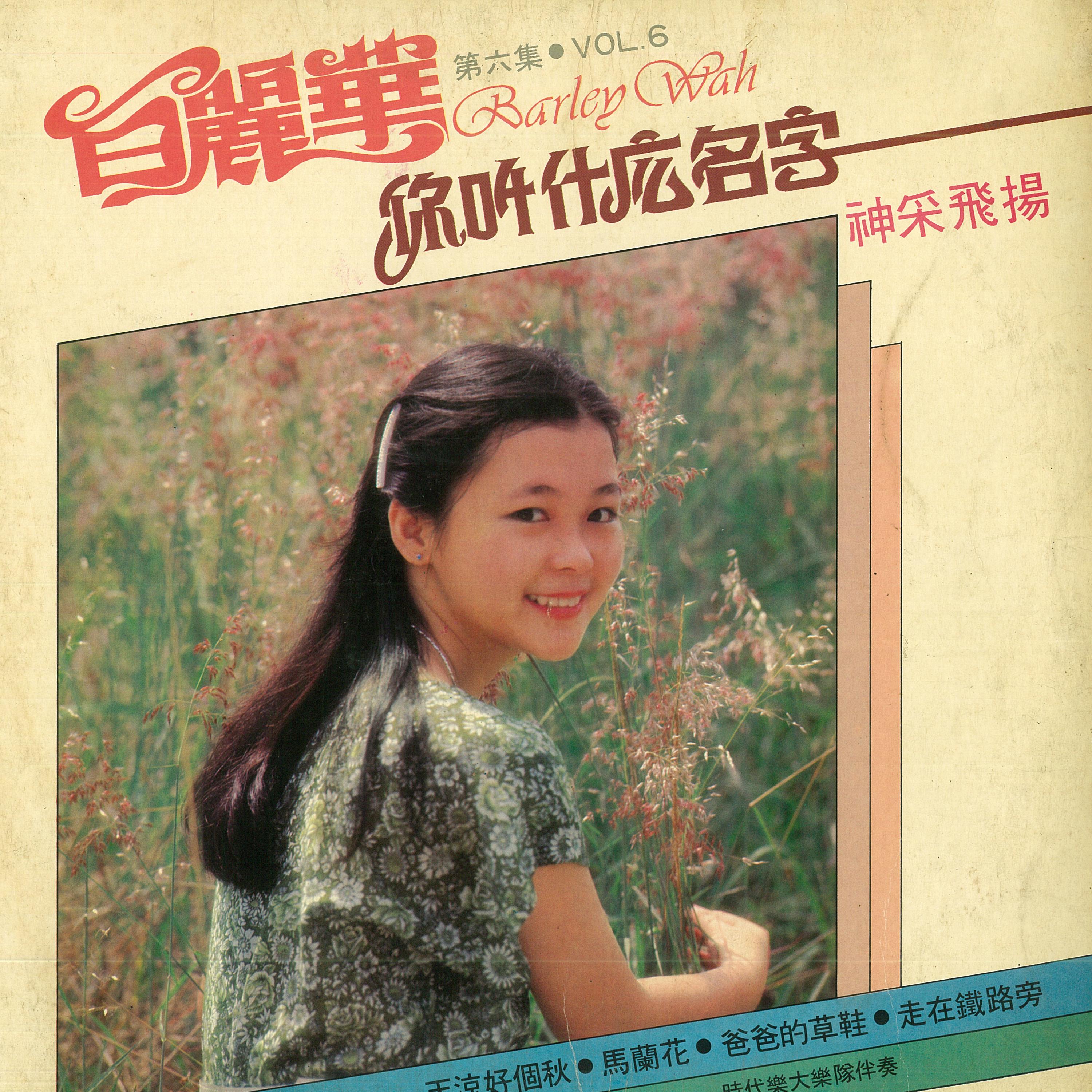 你叫什么名字封面