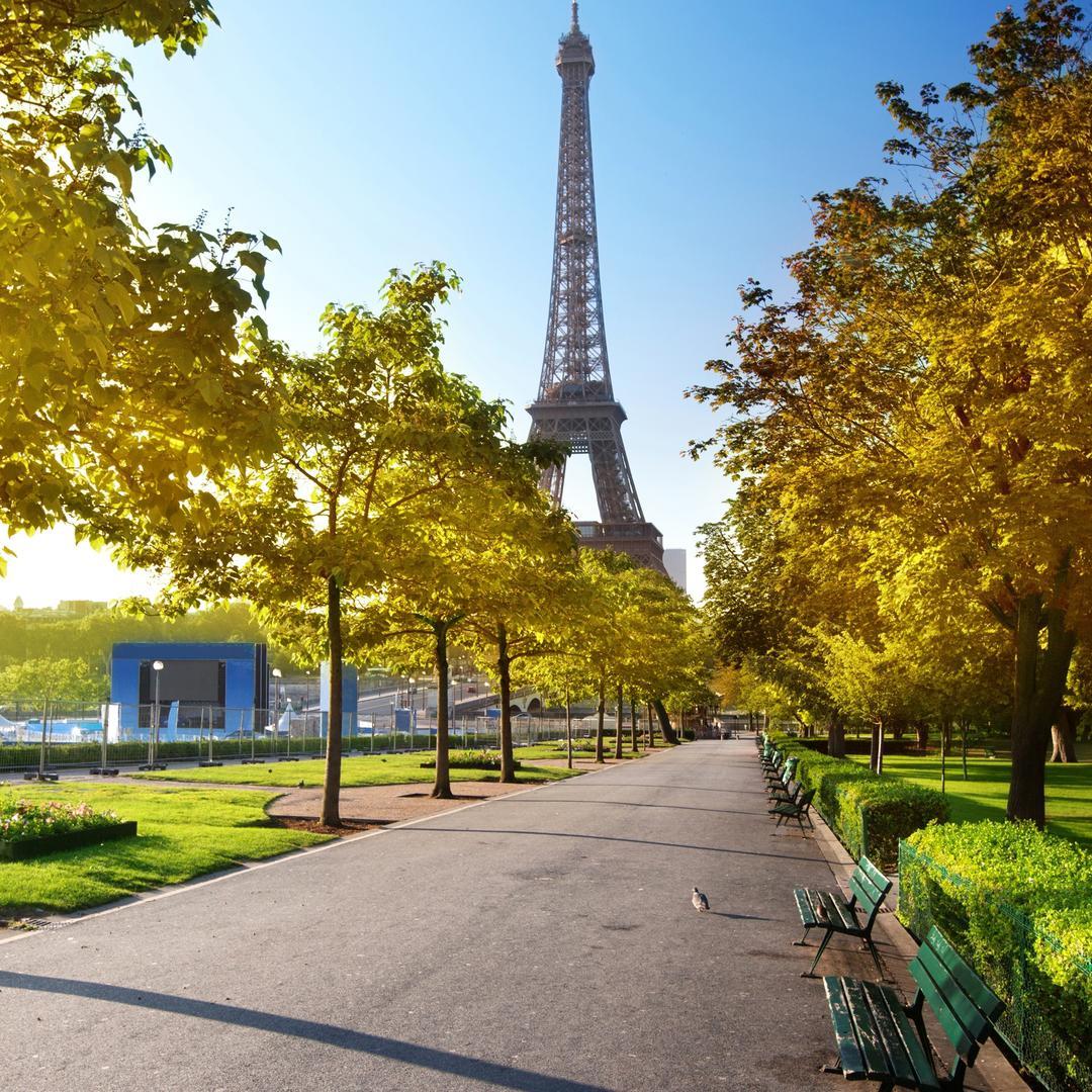 葬泪花末雨纷霏
