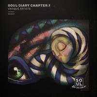 Soul Diary Chapter.1