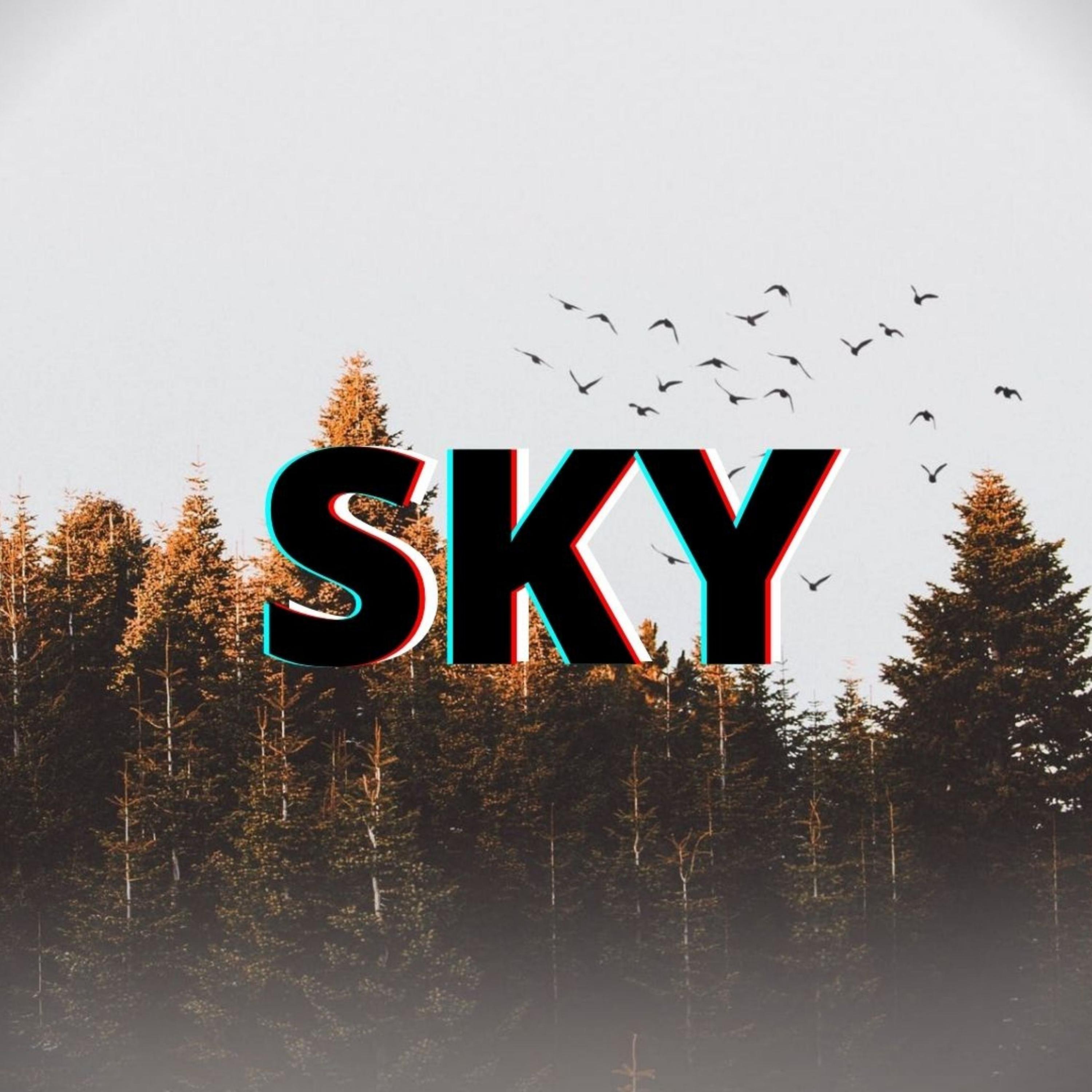 Sky (feat. Rebeca Machado)