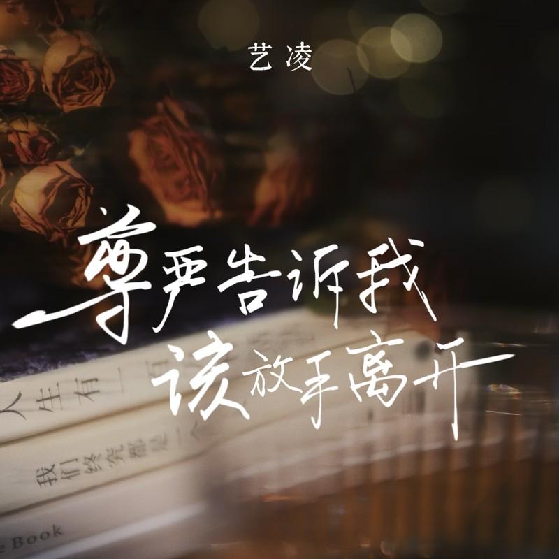 尊严告诉我该放手离开封面