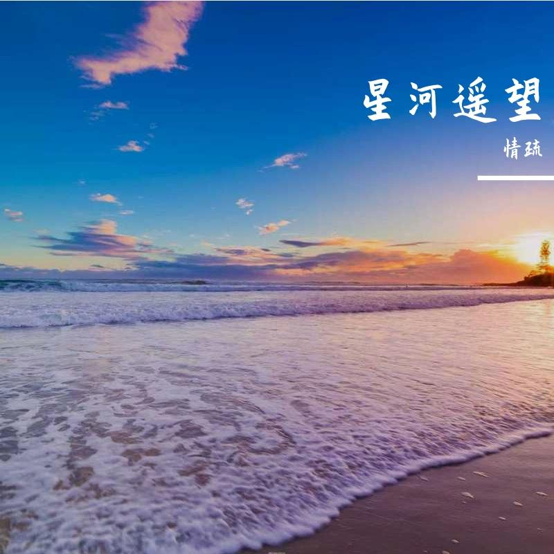 樱舞春庭 - 情疏封面