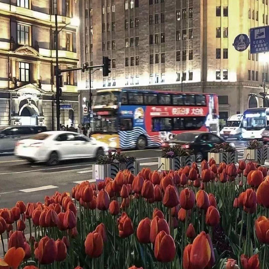 每当我（纯音乐）