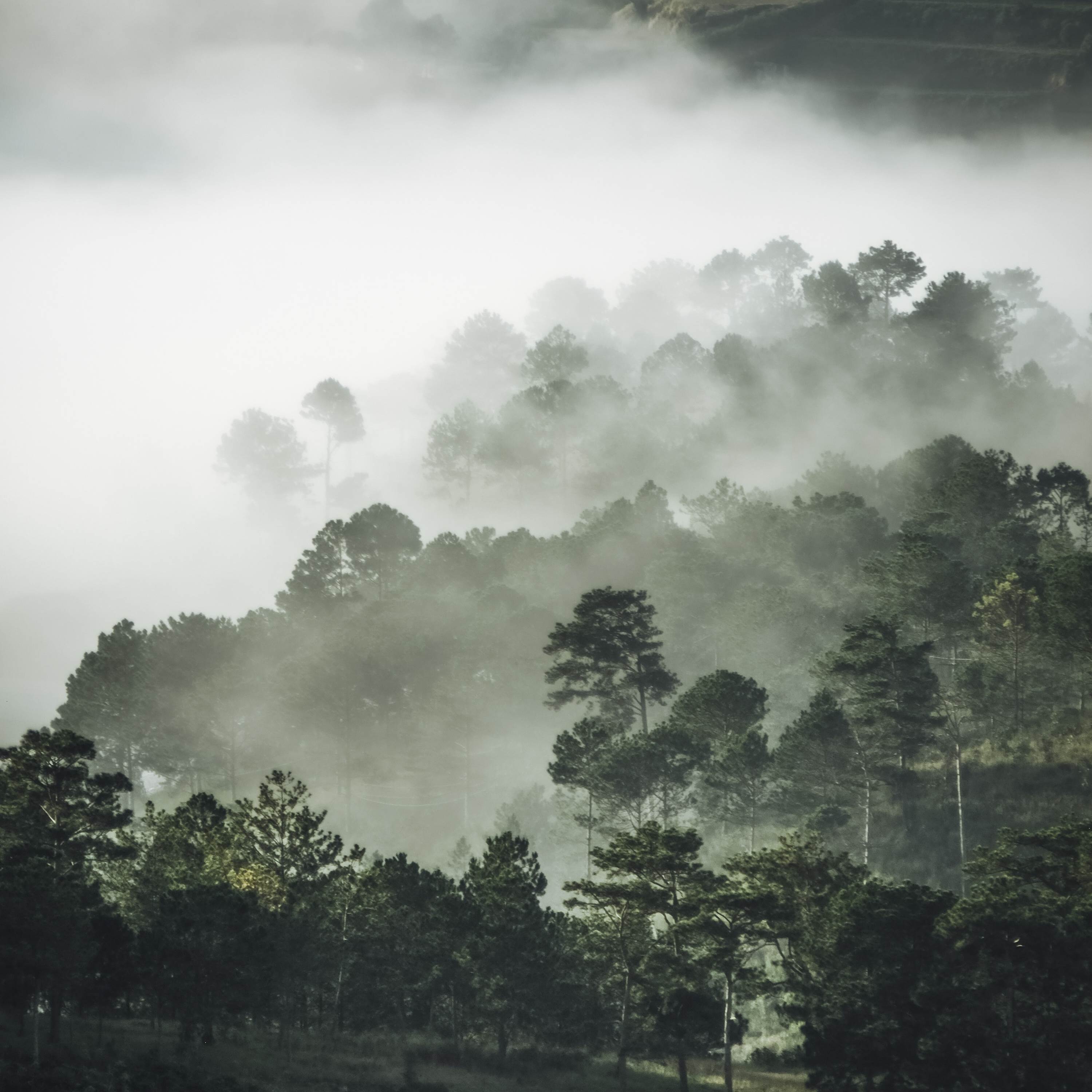 Anh Hết Thương Em Rồi (Vinahosue)封面