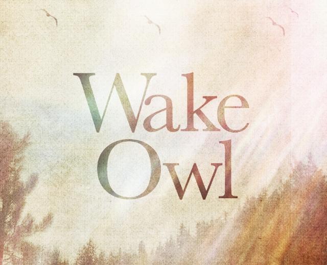 Wake! Owl