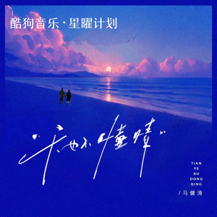 天也不懂情 (DJ豪大大版)封面