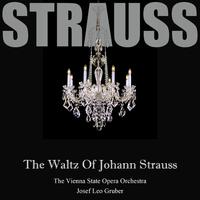 The Waltz Of Johann Strauss