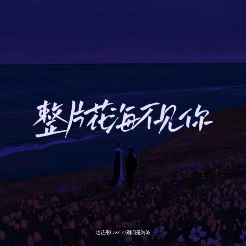 整片花海不见你(DJ版) - 赵芷彤Cassie、别问是海波封面