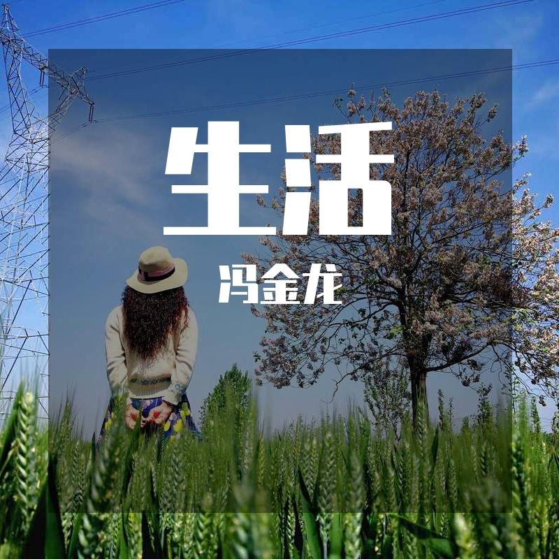 篱笆墙的影子封面