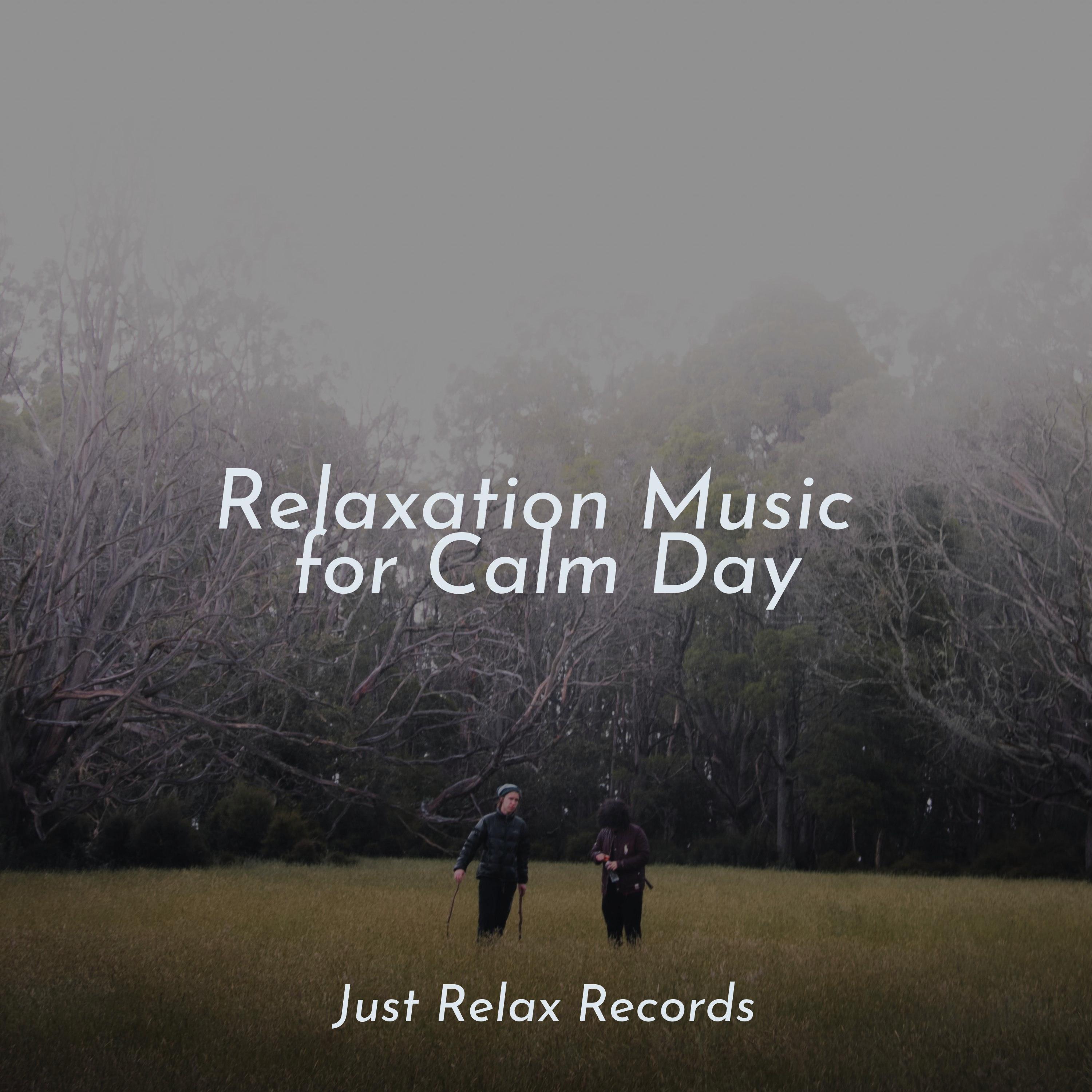 Sunkissed Tranquility ASMR HD/New Age/Rising Higher Meditation 单曲