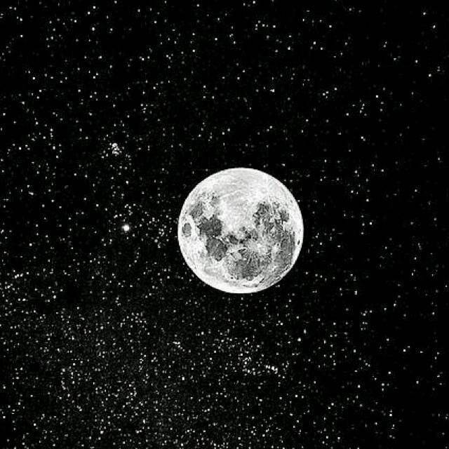 Mr.Bentley（翻自 KnowKnow）