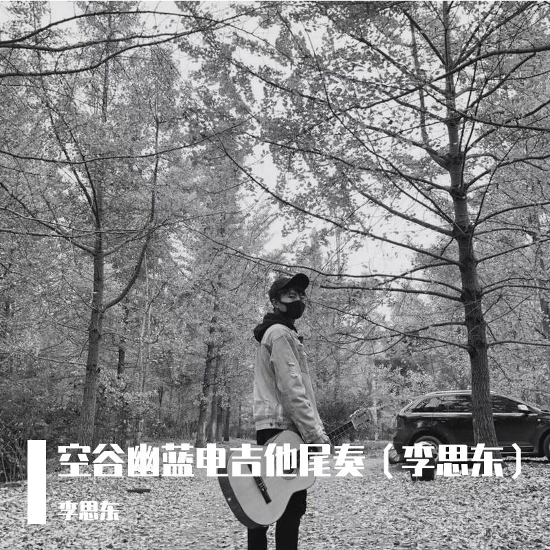空谷幽兰电吉他独奏（翻自 许巍）封面