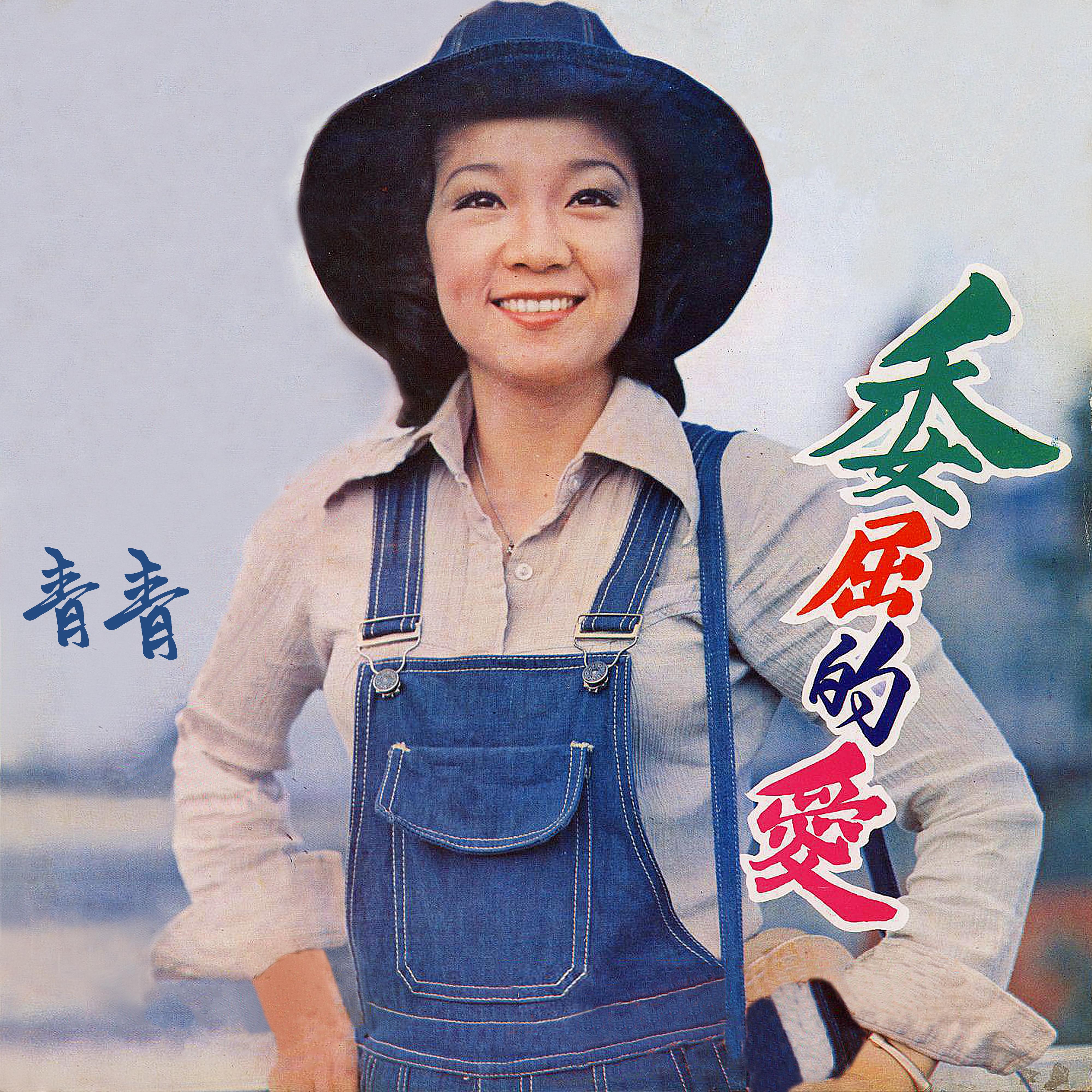 无情的十字路灯封面