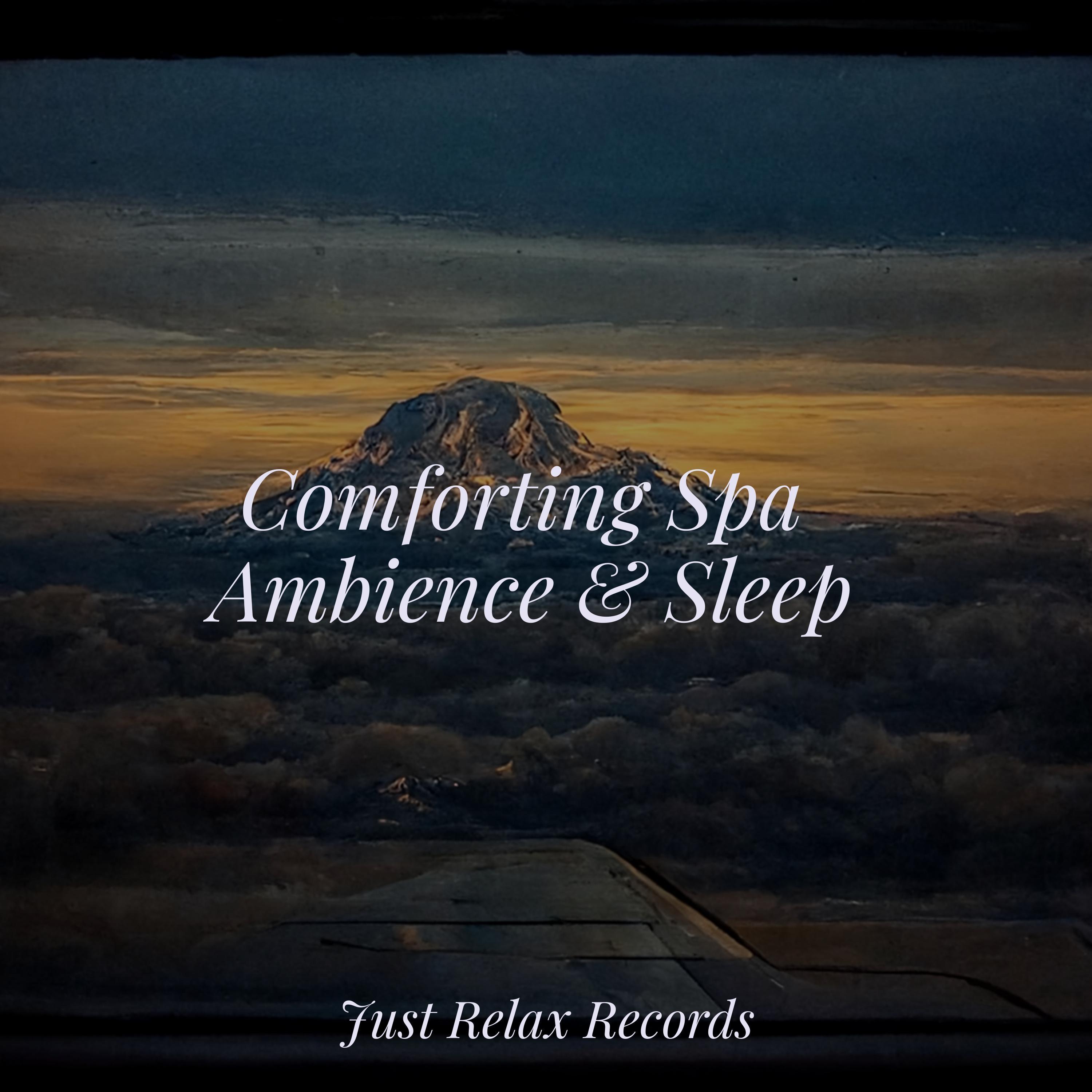 Enigma's Aerial Odyssey Sonidos de la Naturaleza Relajacion