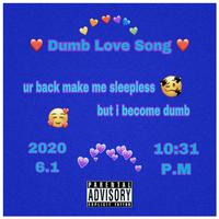 Dumb Love Song