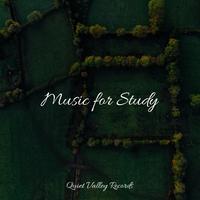 Music for Study