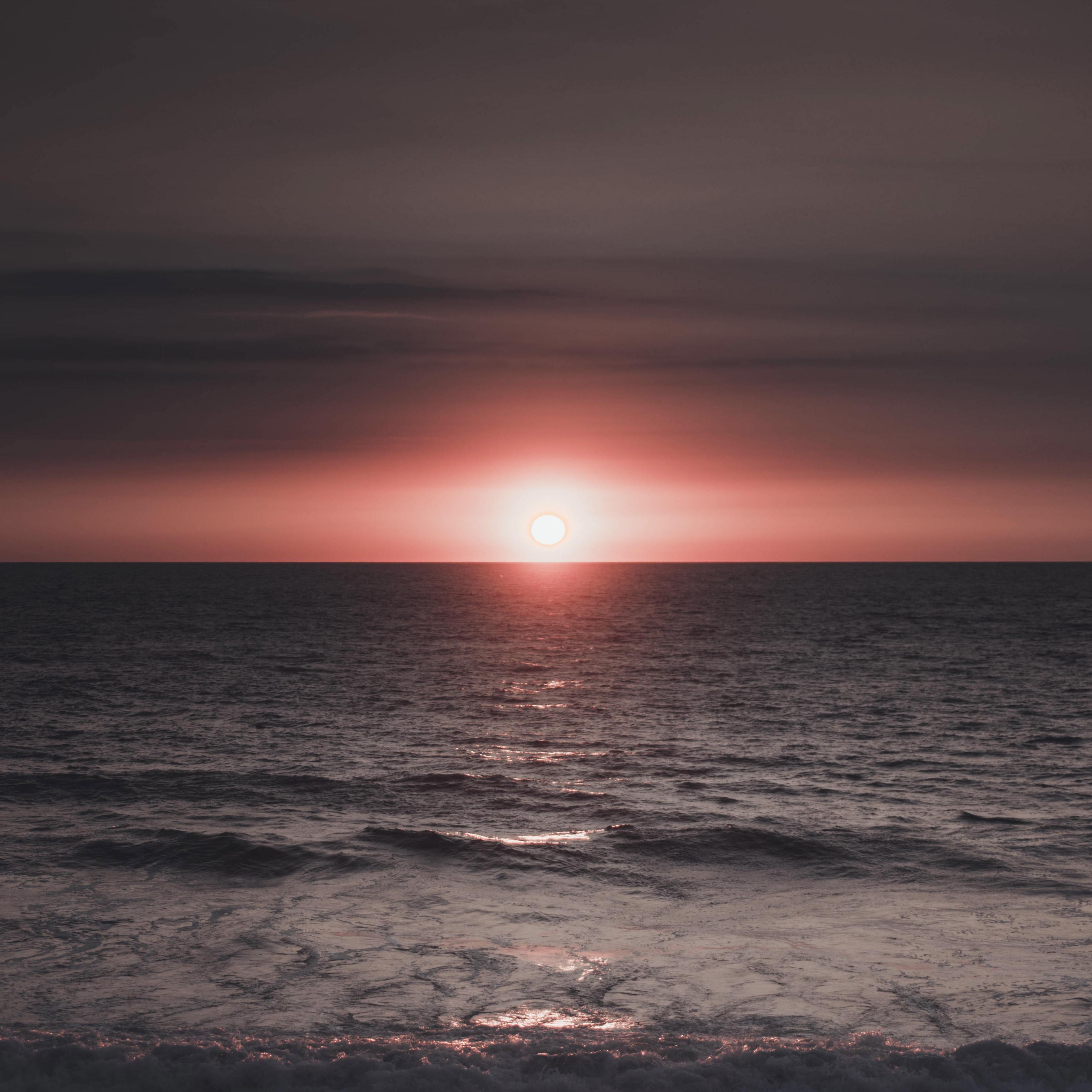 Apocalypse Syndrom (末日症候群)_十指流玉_Apocalypse Syndrom | 在线播放_Apocalypse Syndrom (末日症候群)歌词_Apocalypse Syndrom (末日症候群)下载 | 网易云音乐