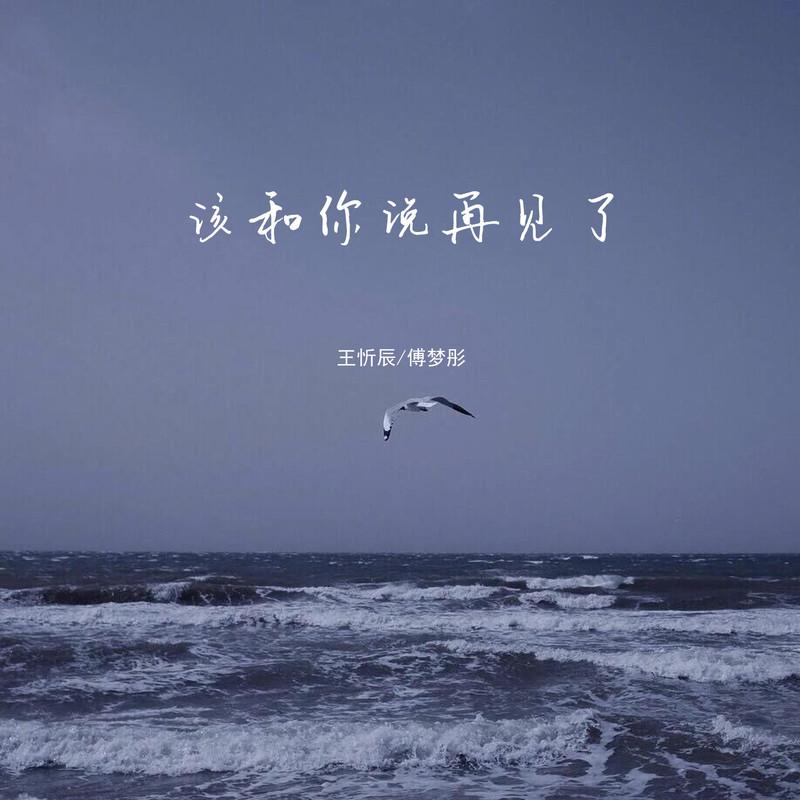 该和你说再见了封面