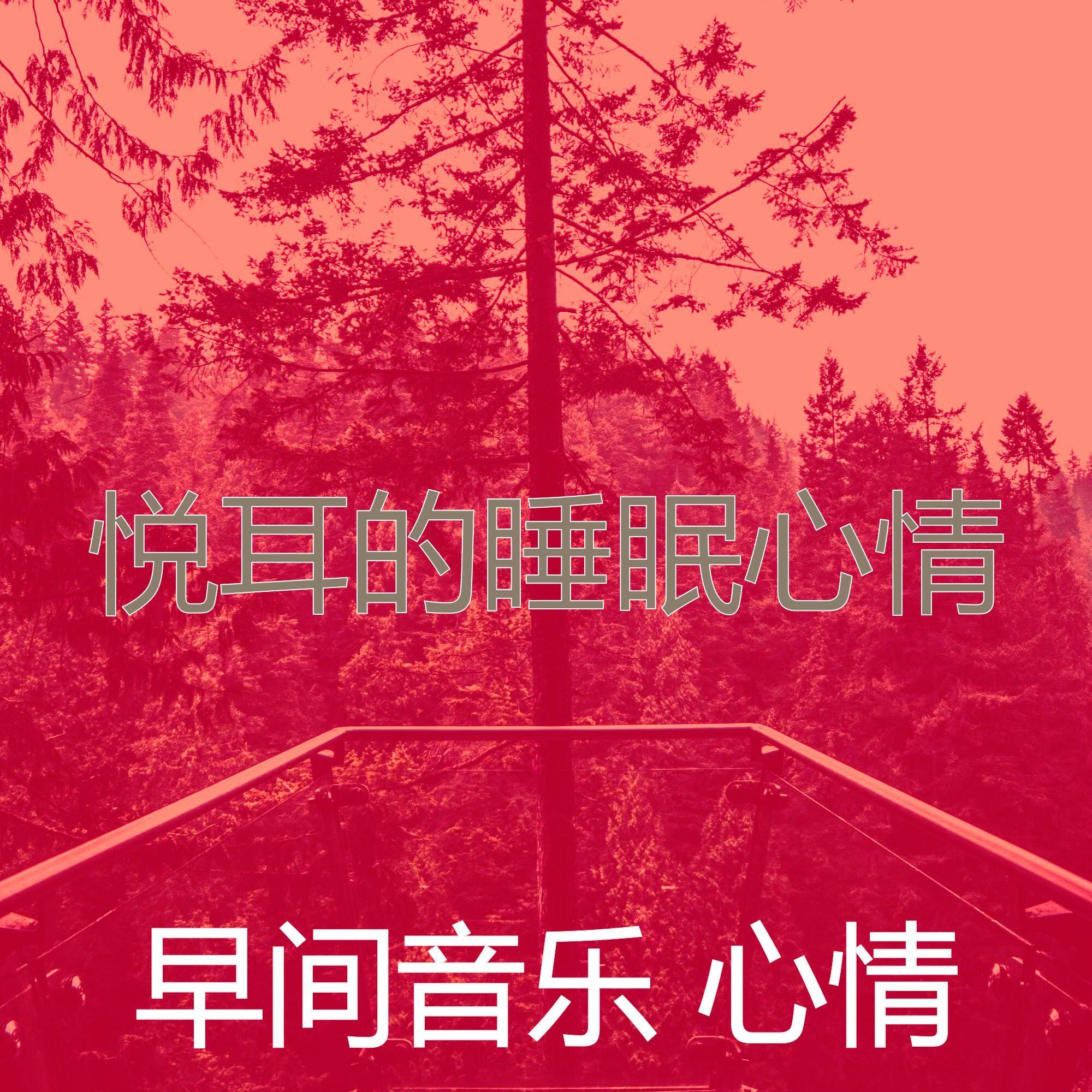 抚慰的养生回忆封面