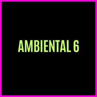 Ambiental 6