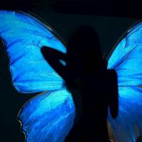 栗子养乐多资料,栗子养乐多最新歌曲,栗子养乐多MV视频,栗子养乐多音乐专辑,栗子养乐多好听的歌