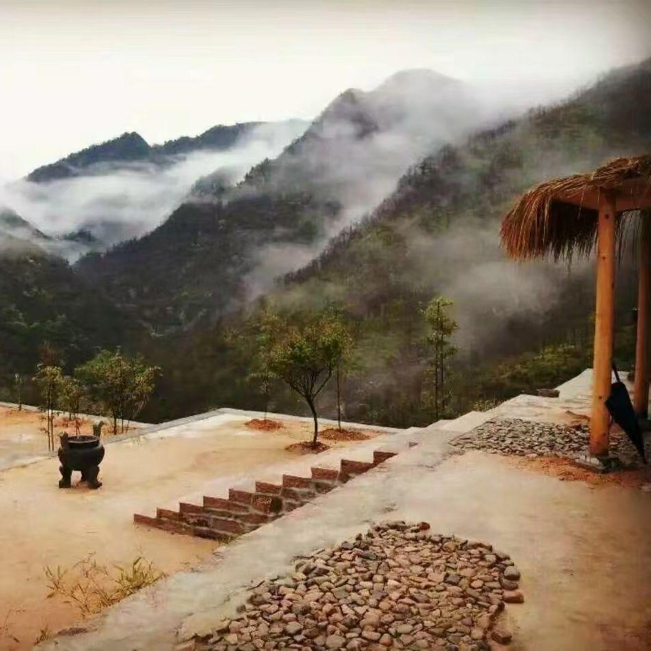 春景封面