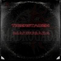 TIGERSTADEN (MADRUGADA)