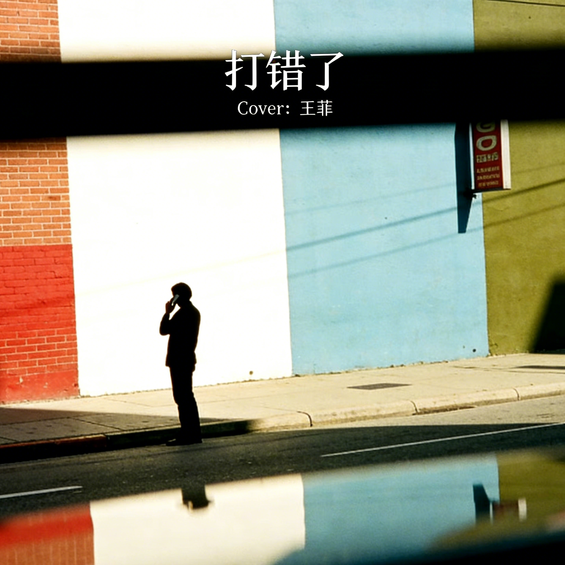 打错了（Cover:王菲）封面