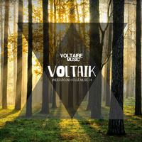 Voltaik, Vol. 14