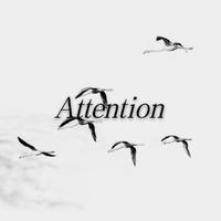 Attention