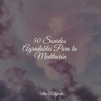 50 Sonidos Agradables Para la Meditación