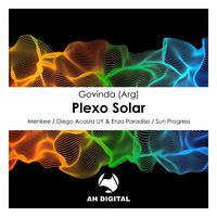 Plexo Solar (Diego Acosta UY & Enzo Paradiso Remix)