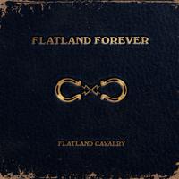 Flatland Forever