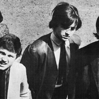 Wayne Fontana & the Mindbenders