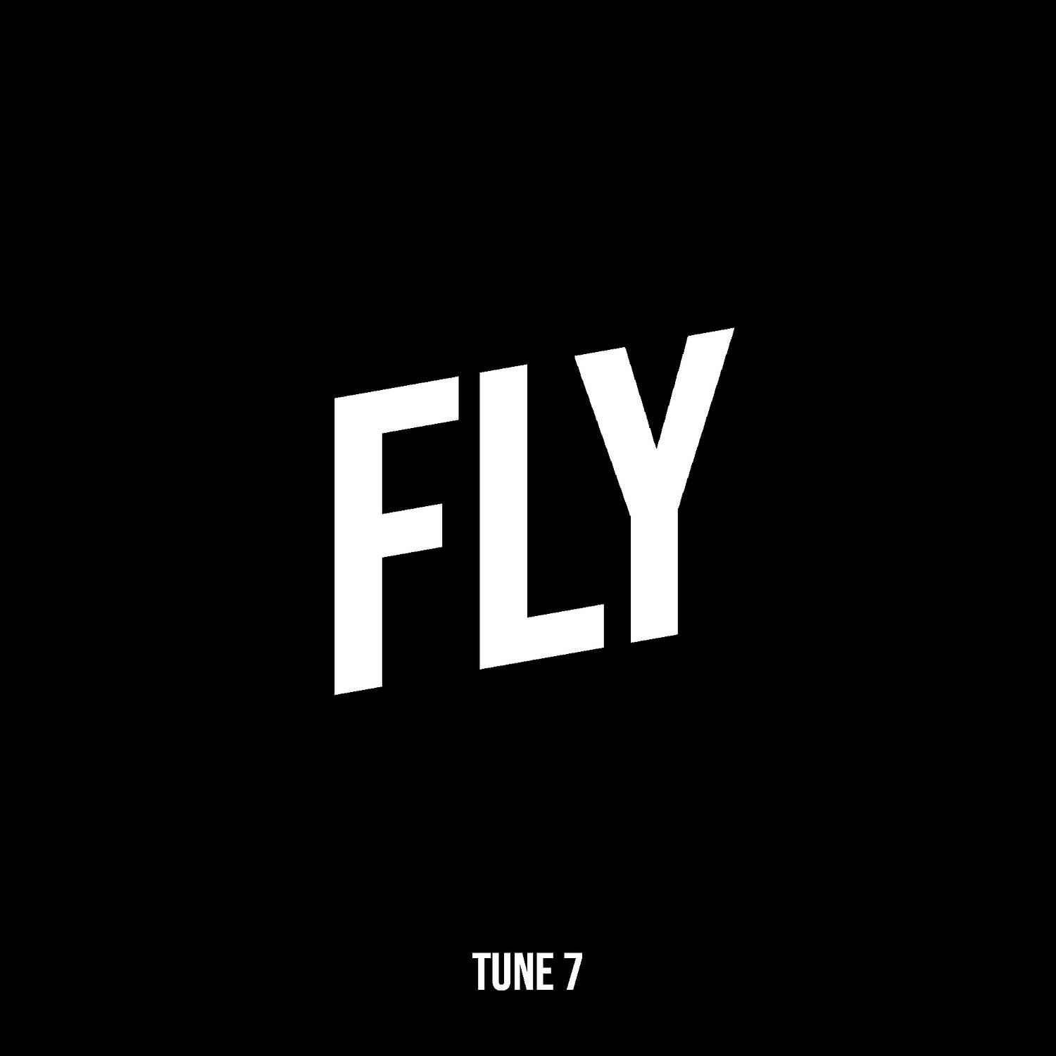 Fly