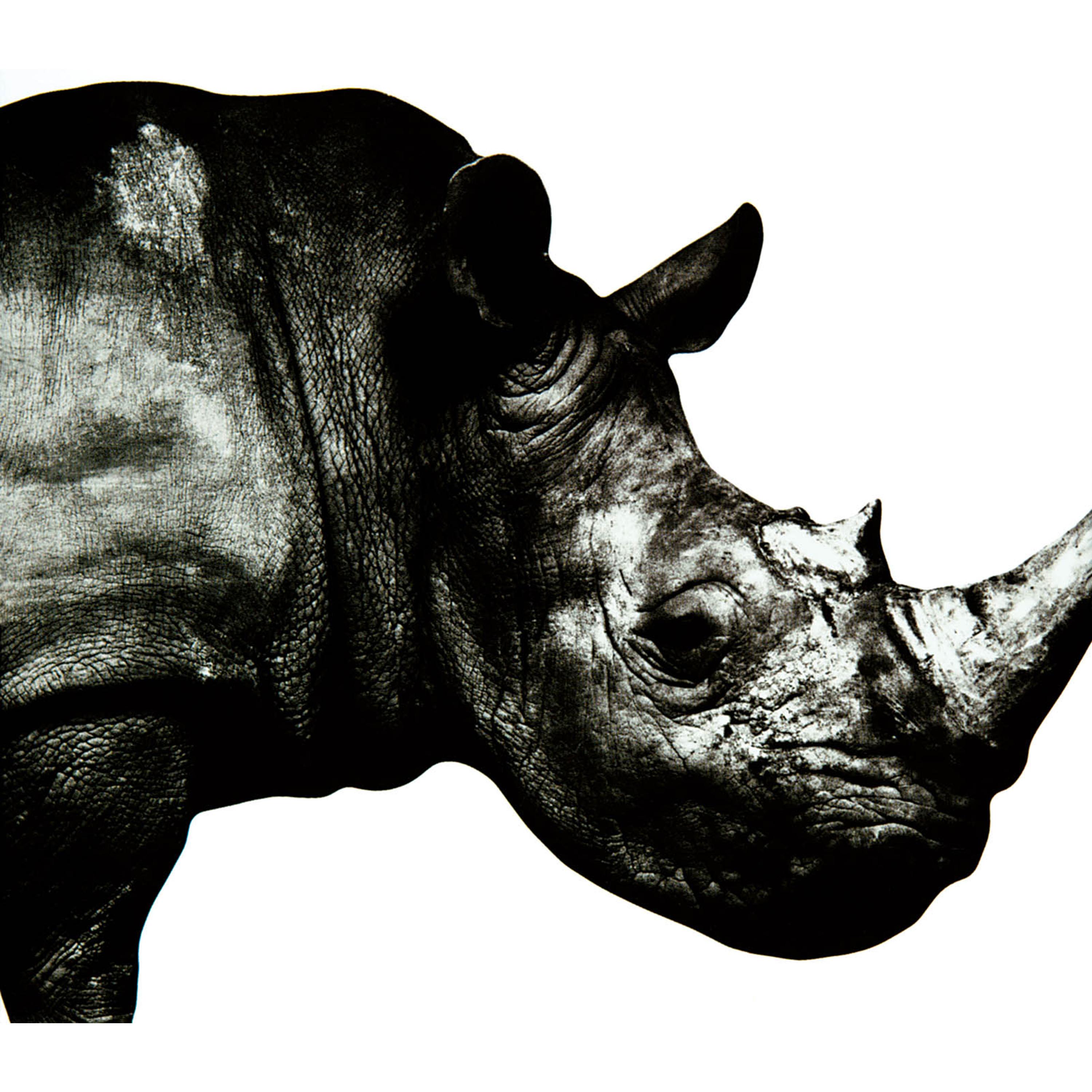 Mr.Children ·《Mr.Children 1992-1995》