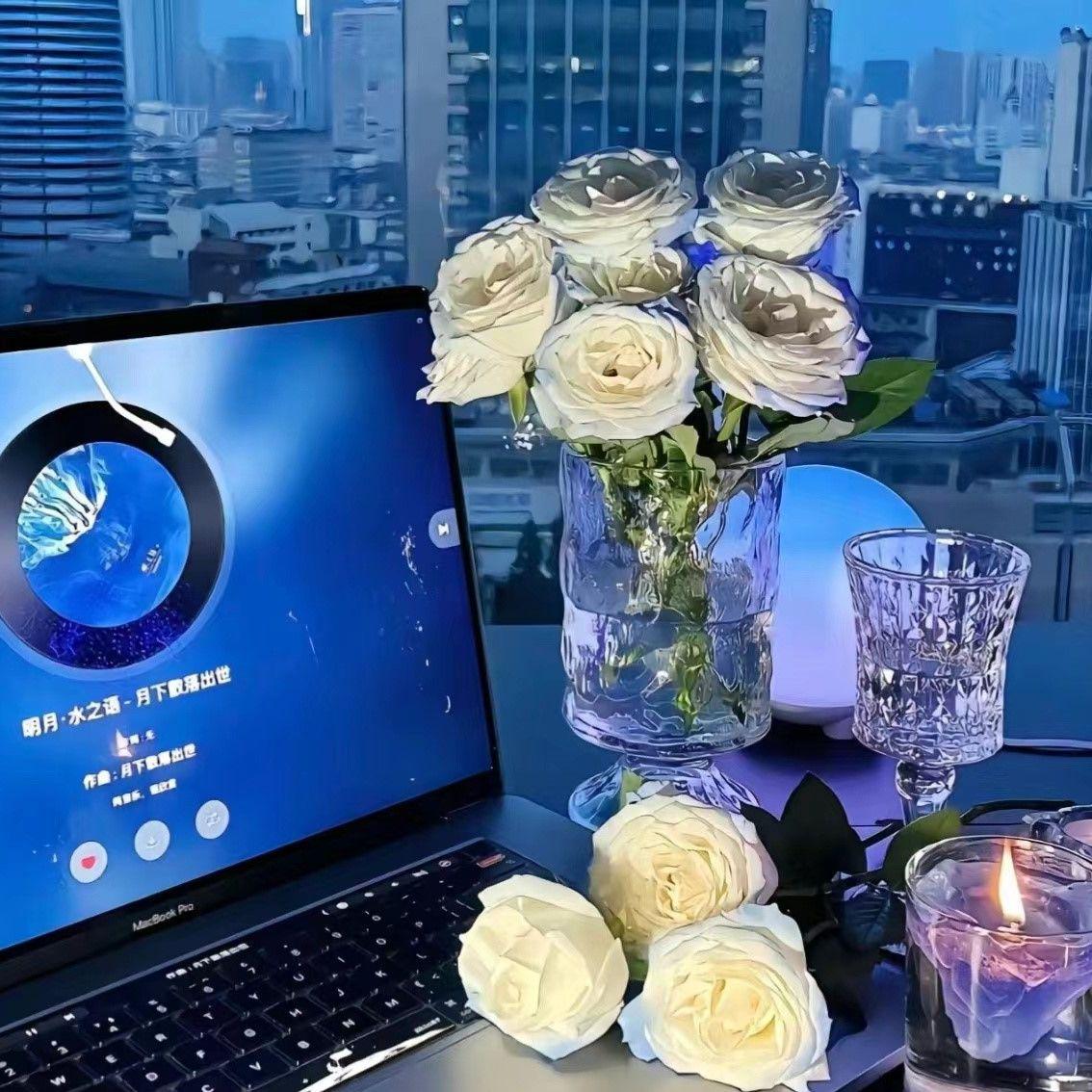 逐梦之光封面