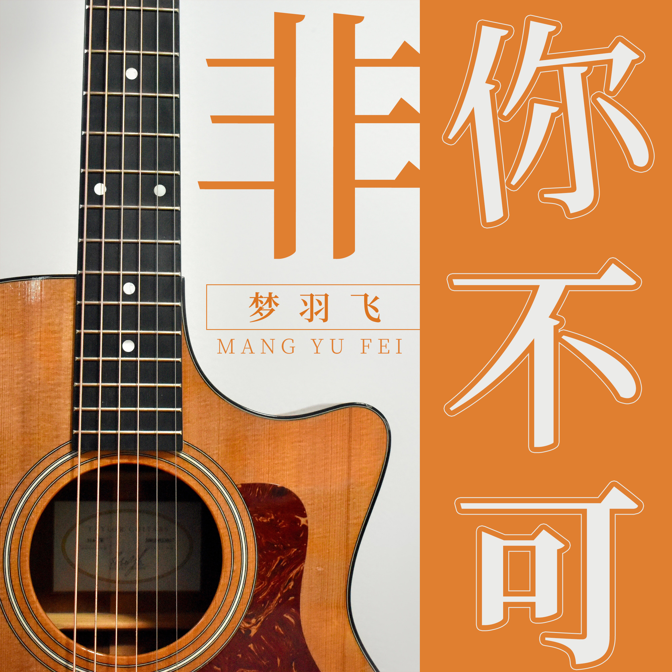 非你不可 (伴奏)封面