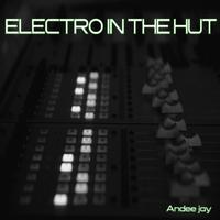 Electro in the Hut