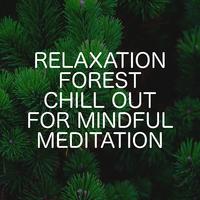 Relaxation Forest Chill Out For Mindful Meditation