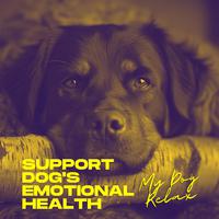 Support Dog's Emotional Health