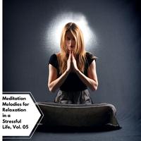 Meditation Melodies For Relaxation In A Stressful Life, Vol. 05