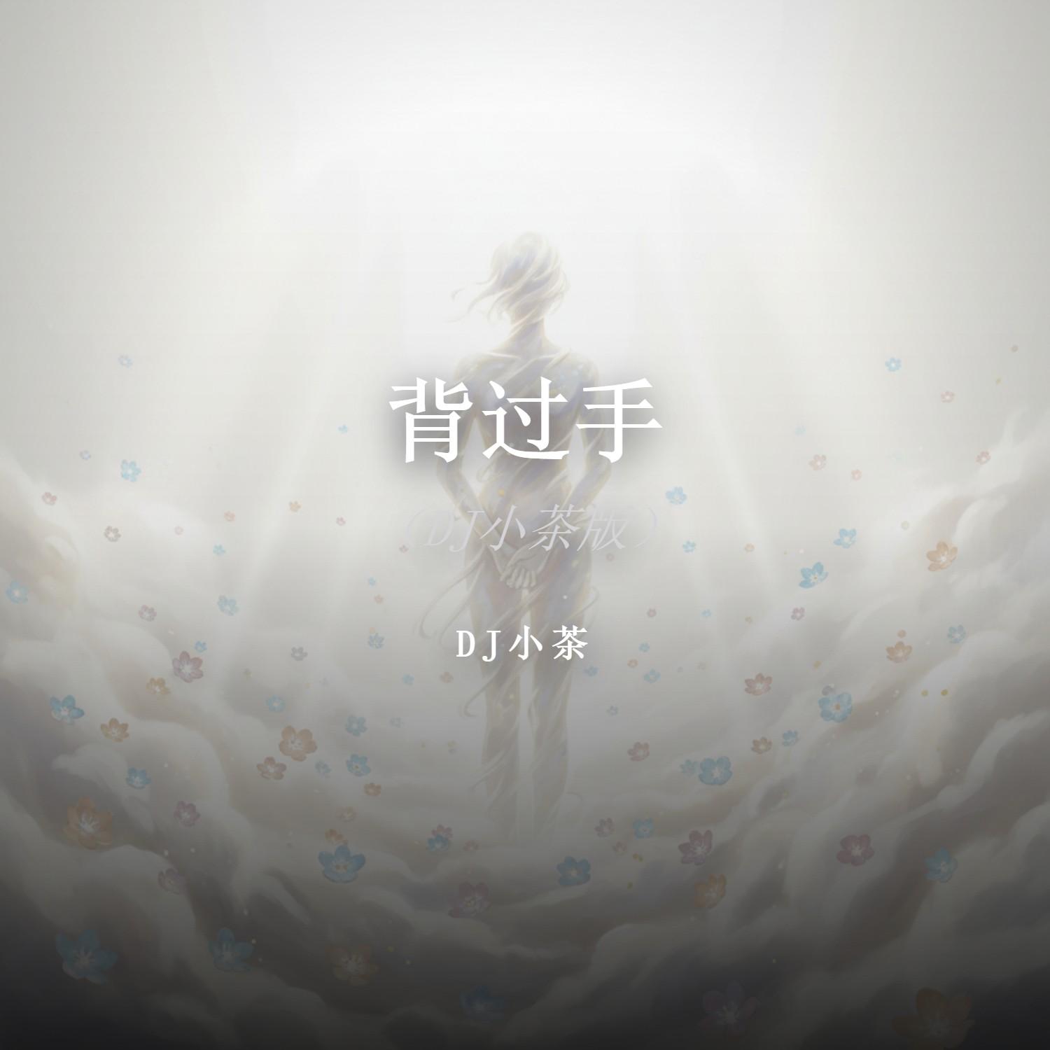 背过手封面