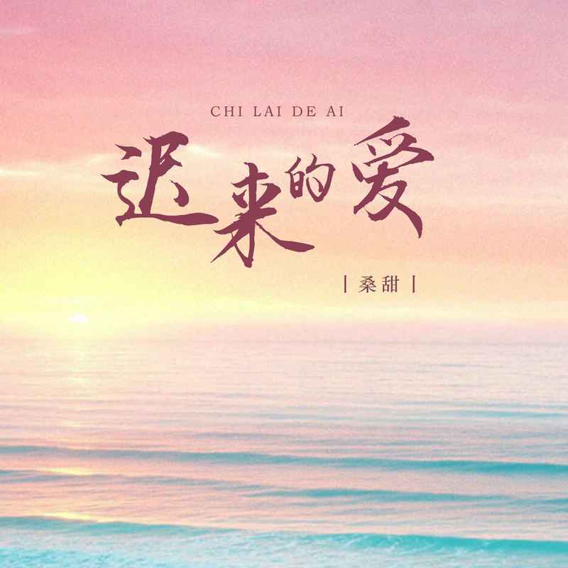 迟来的爱 (DJ版)封面