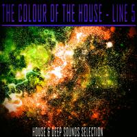 The Colour of the House - Line 5