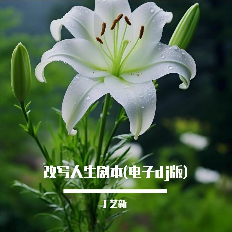 改写人生剧本(电子dj版)封面