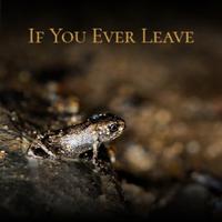 If You Ever Leave