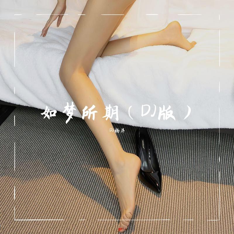 如梦所期（DJ版）封面