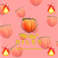 Arde (Reggaeton)