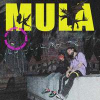 MULA